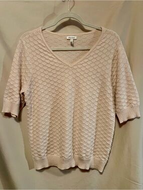 Ella Moss Short Sleeve Textured V-Neck Sweater in Light Pink Cream
